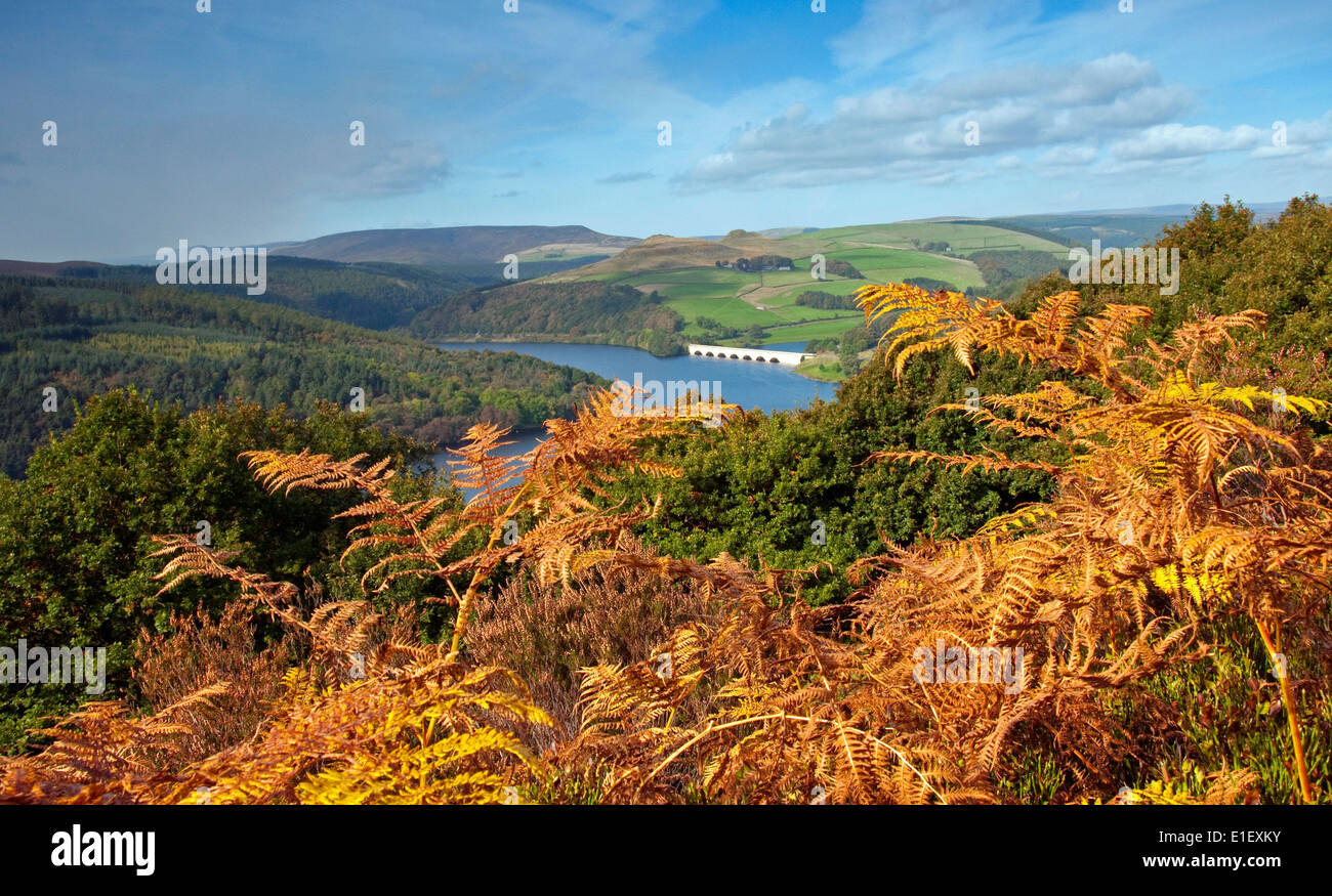 Herbst am Bamford Rand, mit Blick auf Ladybower Vorratsbehälter in den Peak District Derbyshire England UK Stockfoto