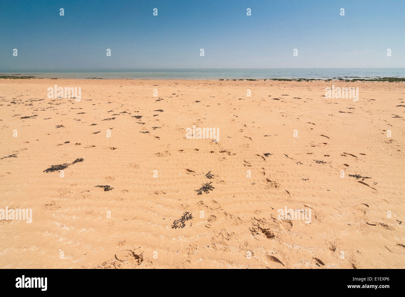 Broadstairs, Kent, UK, 18. Mai 2014. Eine Ausdehnung der leeren Strand mit Resten von Algen und Fußspuren im Sand. Stockfoto