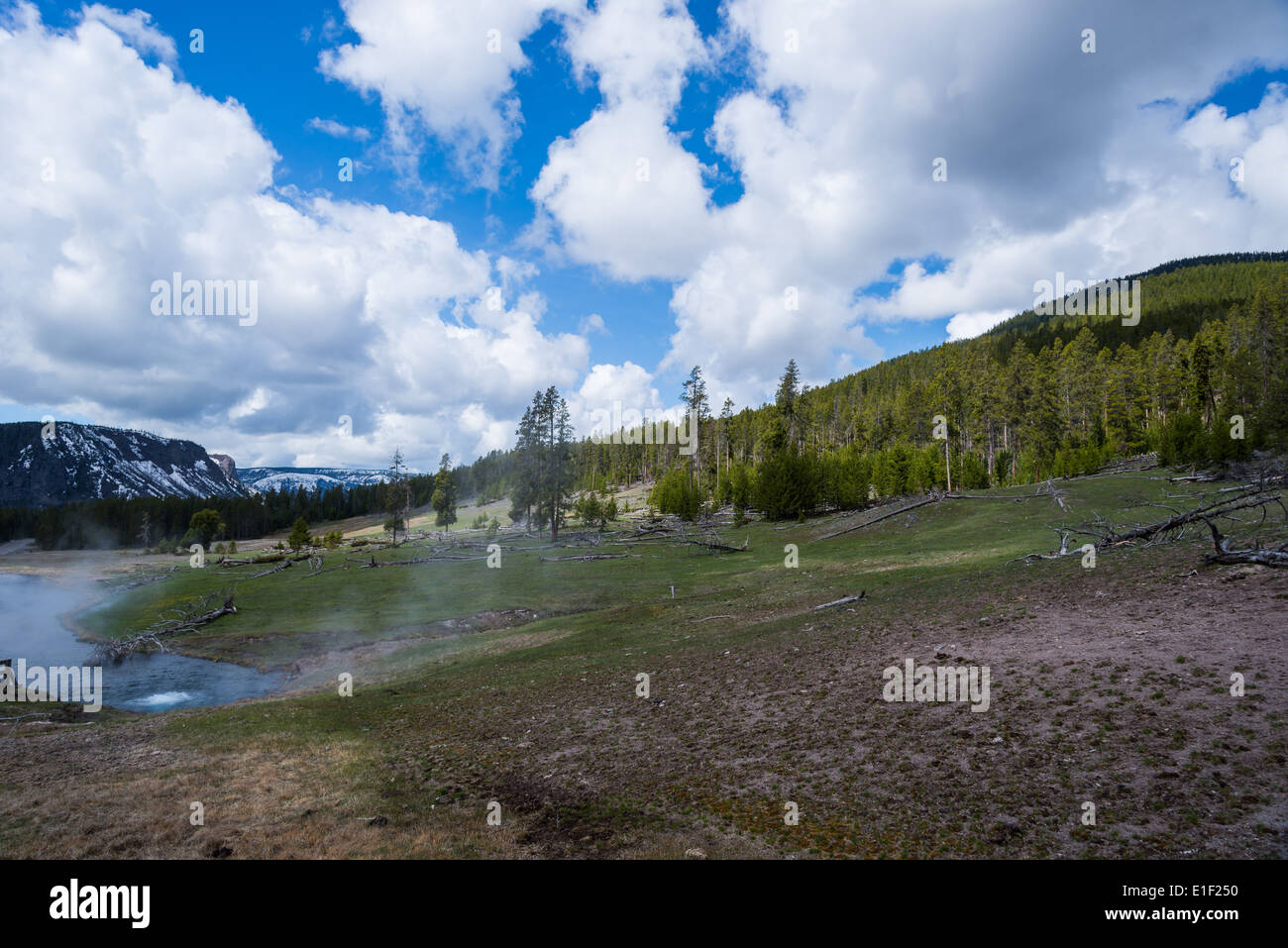 Thermalquelle speist in einem Fluss. Yellowstone-Nationalpark, Wyoming, USA. Stockfoto