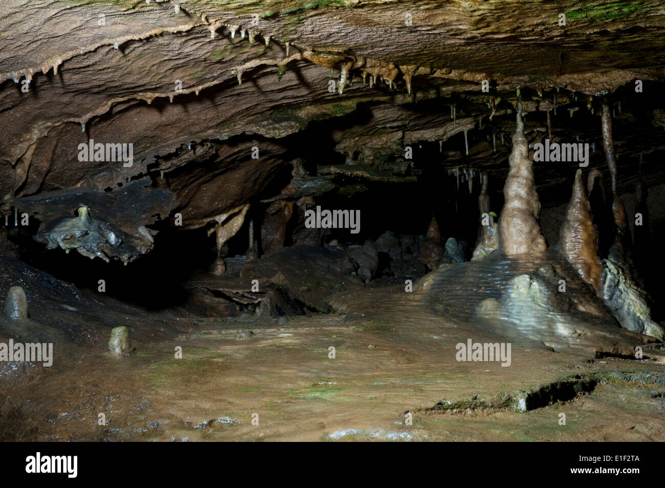 Stalaktiten und Stalagmiten Kalksteinformationen in Ingleborough Höhle, Yorkshire Dales National Park, North Yorkshire. März. Stockfoto