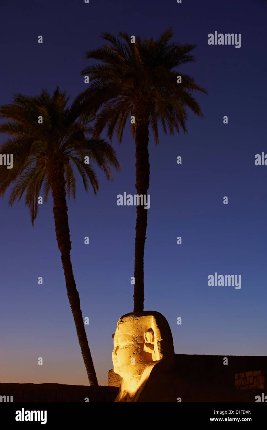 Ägypten, Nil Senke, Luxor, Luxor-Tempel Stockfoto