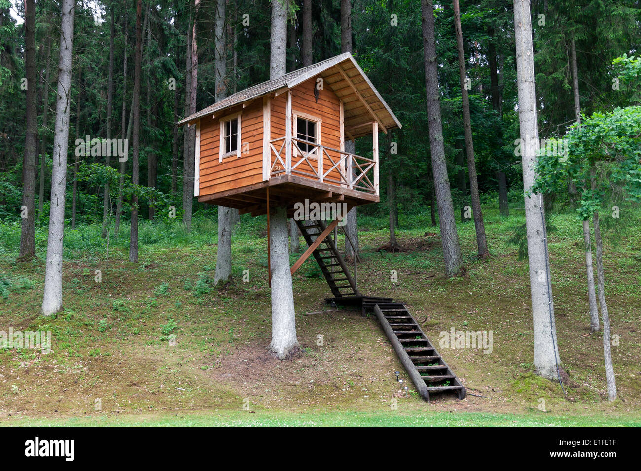 Entfernten Baum Holzhaus im Wald Stockfoto
