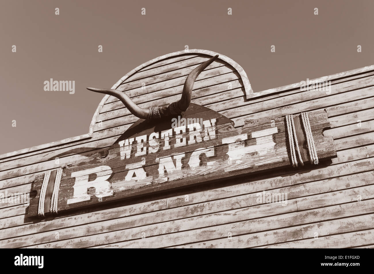 Bull Skull und Ranch Westgrenze auf eine Holzfassade Stockfoto