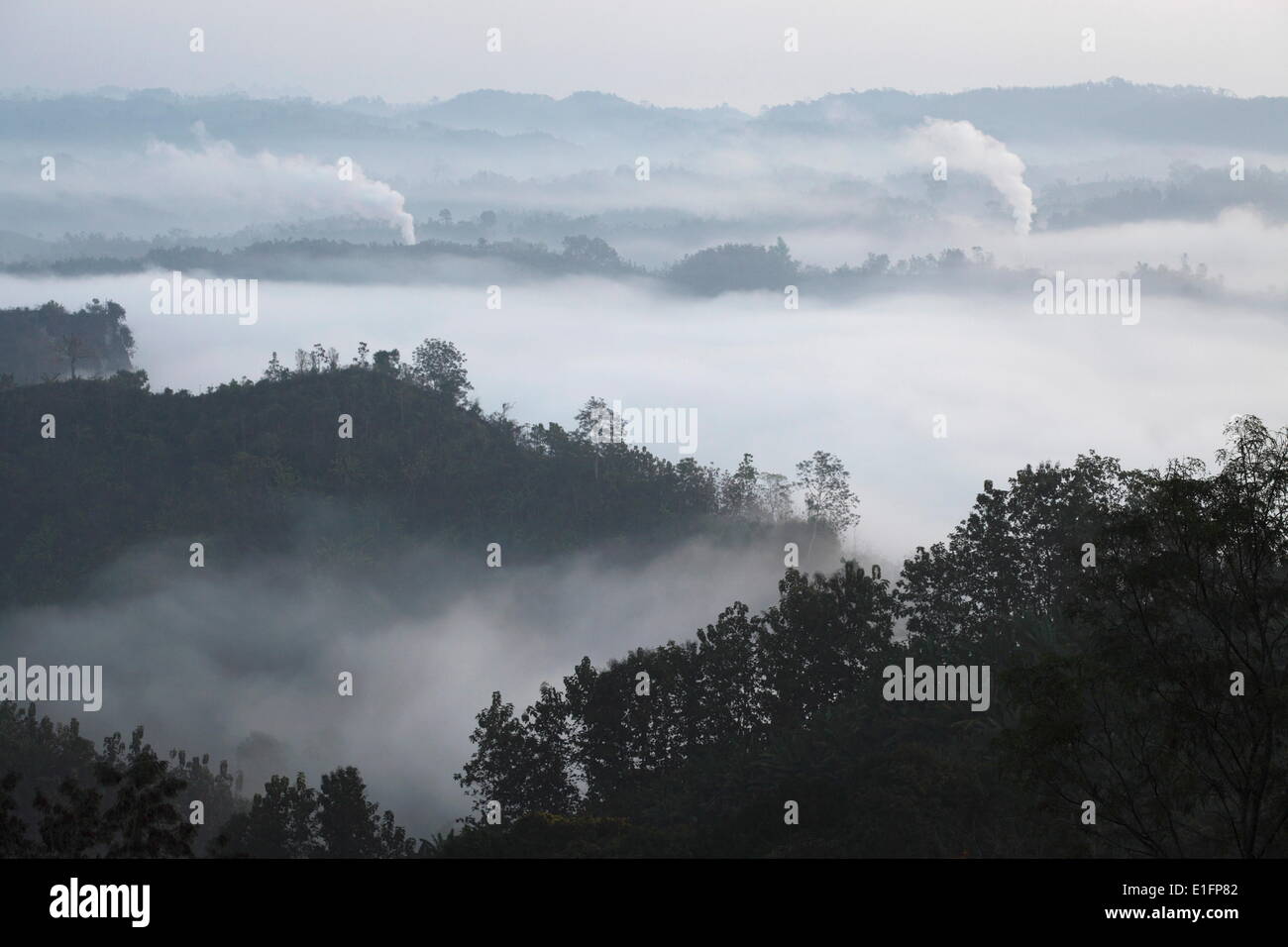 Am frühen Morgen Nebel und Rauch von Ziegeleien im Tal über den Dschungel von Bandarban, Division Chittagong, Bangladesch, Asien Stockfoto