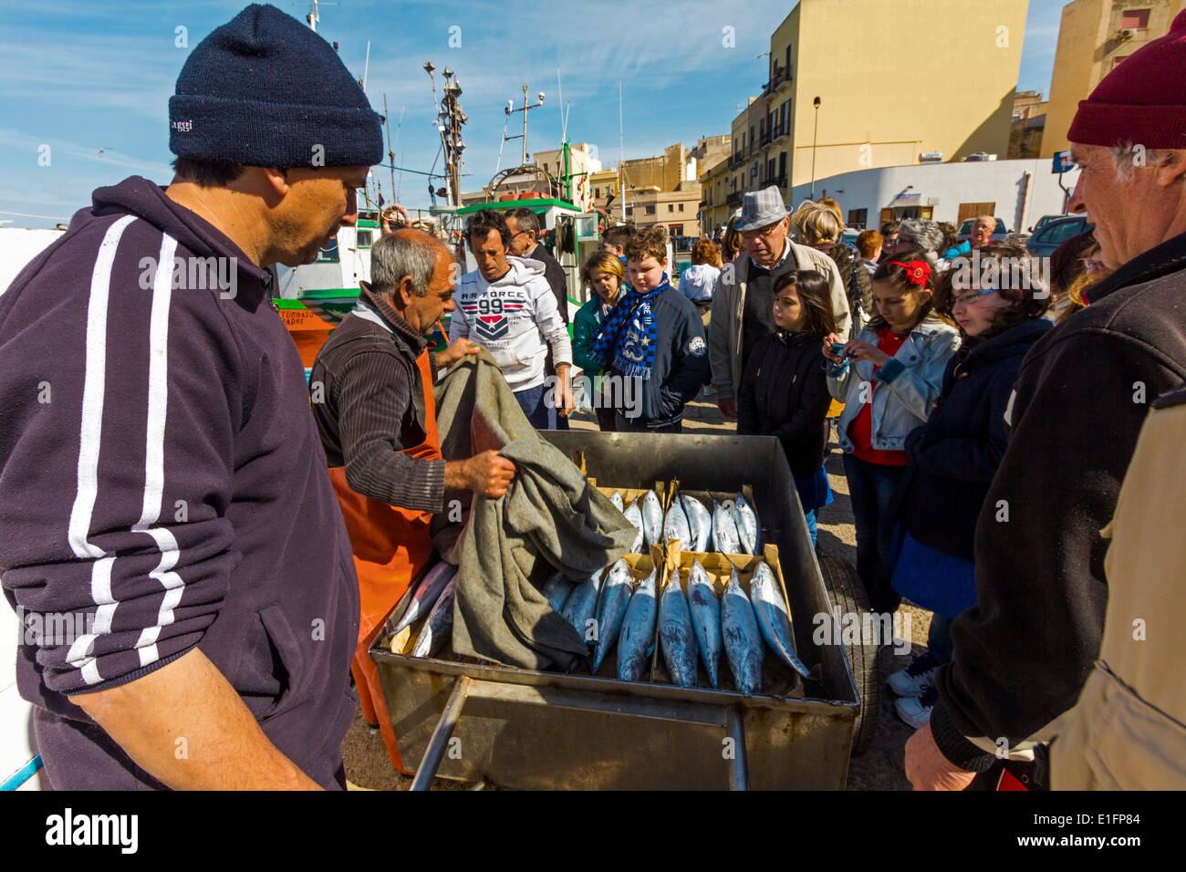 Ein Fang von Unechter Bonito (Bullet Makrele) erregt Aufmerksamkeit in dieser geschäftigen nordwestlichen Fischerhafen, Trapani, Sizilien, Italien Stockfoto