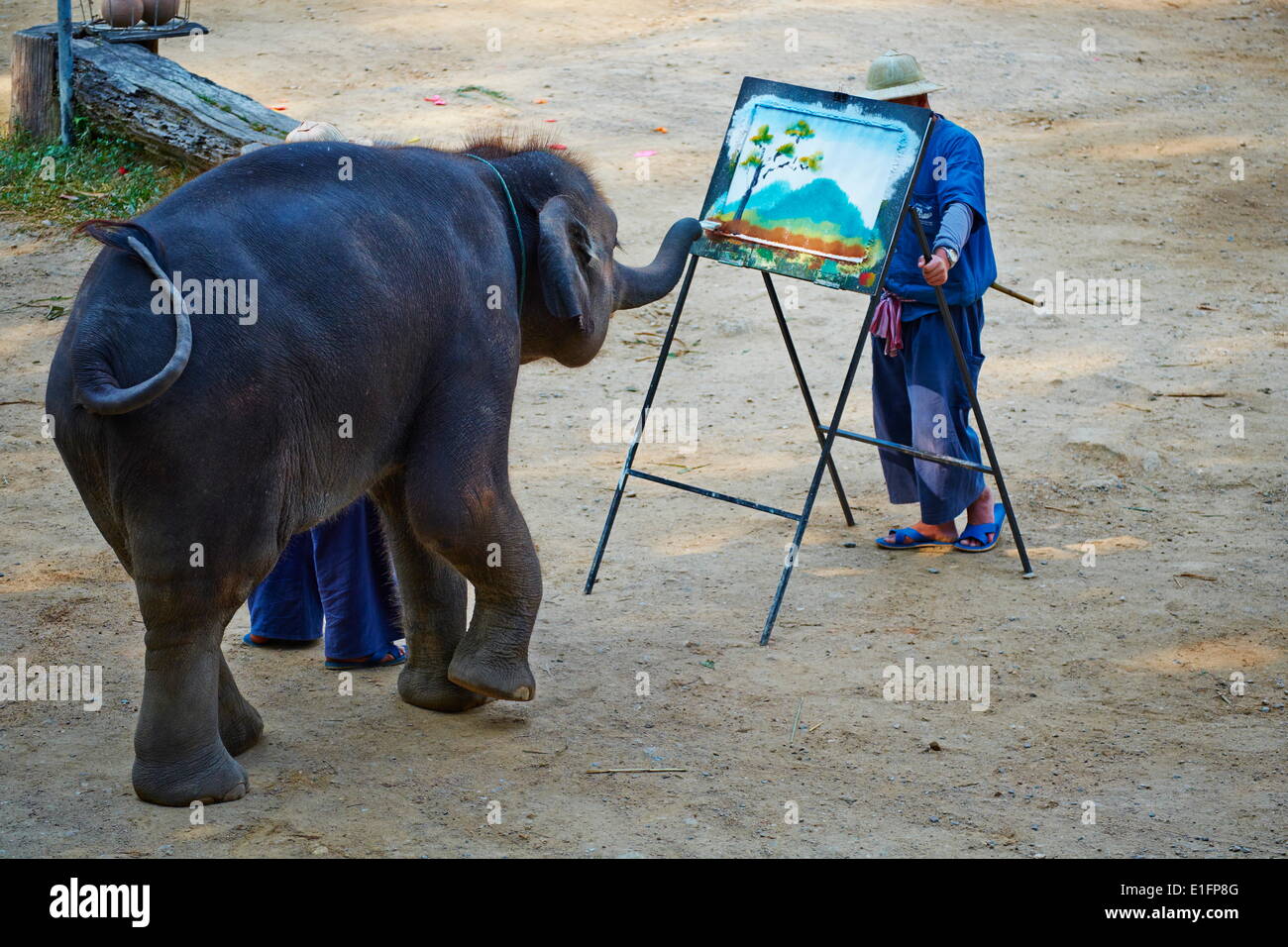 Elefanten-show für Touristen, Mae Sa, Chiang Mai, Thailand, Südostasien, Asien Stockfoto