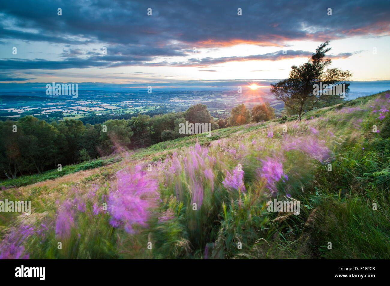 Malvern Hills bei Sonnenuntergang, Worcestershire, England, United Kingdom, Europe Stockfoto
