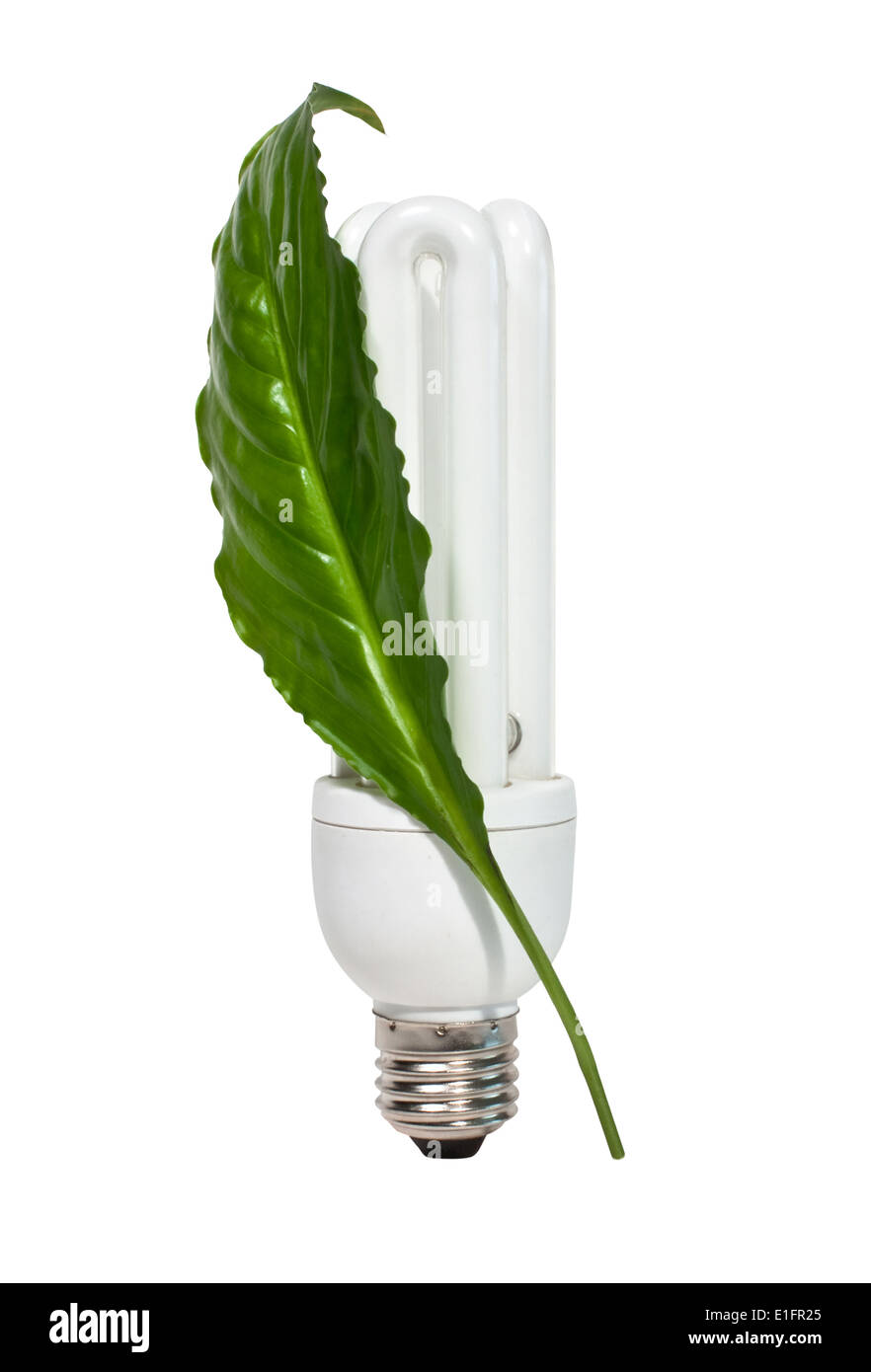 Leuchtstofflampen und grünes Blatt isoliert auf weißem Hintergrund Stockfoto
