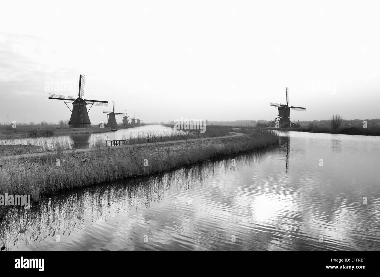 holländische Windmühlen Stockfoto