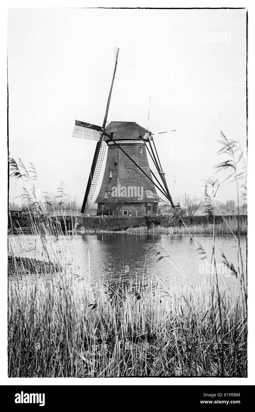 holländische Windmühle Stockfoto