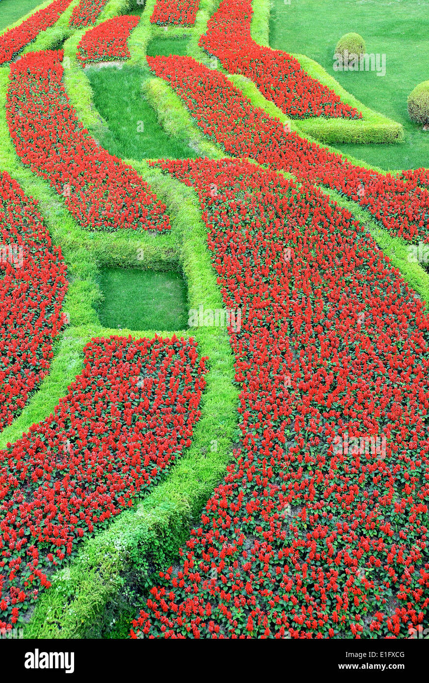Blumenbeet Pudong Shanghai China Stockfoto