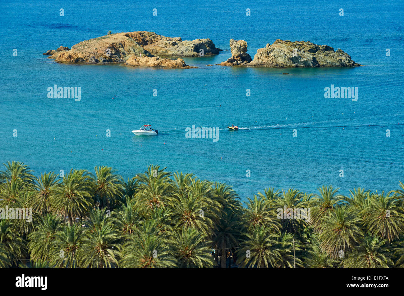 Griechenland, Insel Kreta, Vai Beach und Palm Bäume, Ost-Kreta Stockfoto