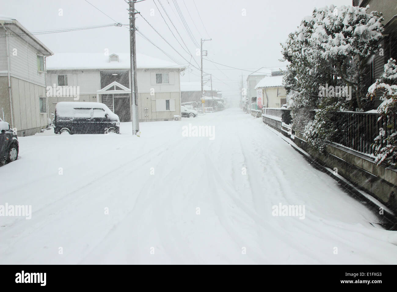 Japan - Feb08: Die schwersten Schnee in Jahrzehnten in Tokio und anderen Bereichen von Japan, am 8. Februar 2014 in Japan Stockfoto