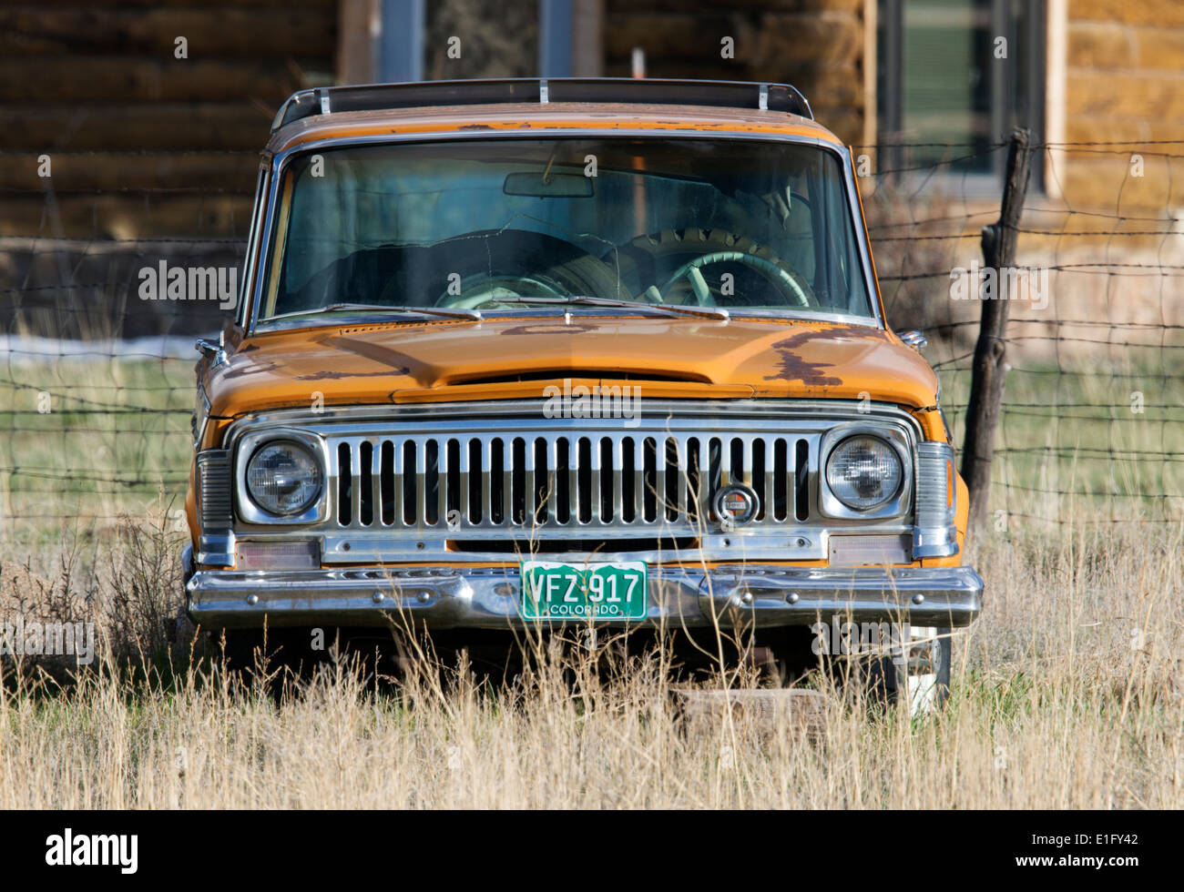 Alten Jeep Wagoneer sitzen in das Unkraut auf einer Ranch in Colorado Stockfoto