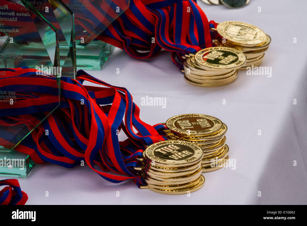 Westminster, London, UK. 3. Juni 2014. Tauziehen zwischen Abgeordneten und Lords in jährlichen Benefizspiel in Westminster, London Credit: Guy Corbishley/Alamy Live News Stockfoto