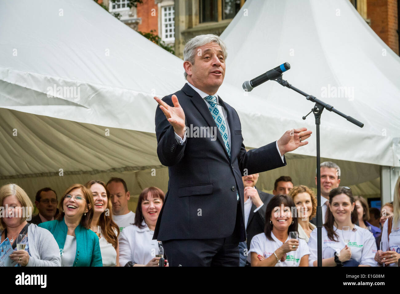 Westminster, London, UK. 3. Juni 2014. Tauziehen zwischen Abgeordneten und Lords in jährlichen Benefizspiel in Westminster, London Credit: Guy Corbishley/Alamy Live News Stockfoto