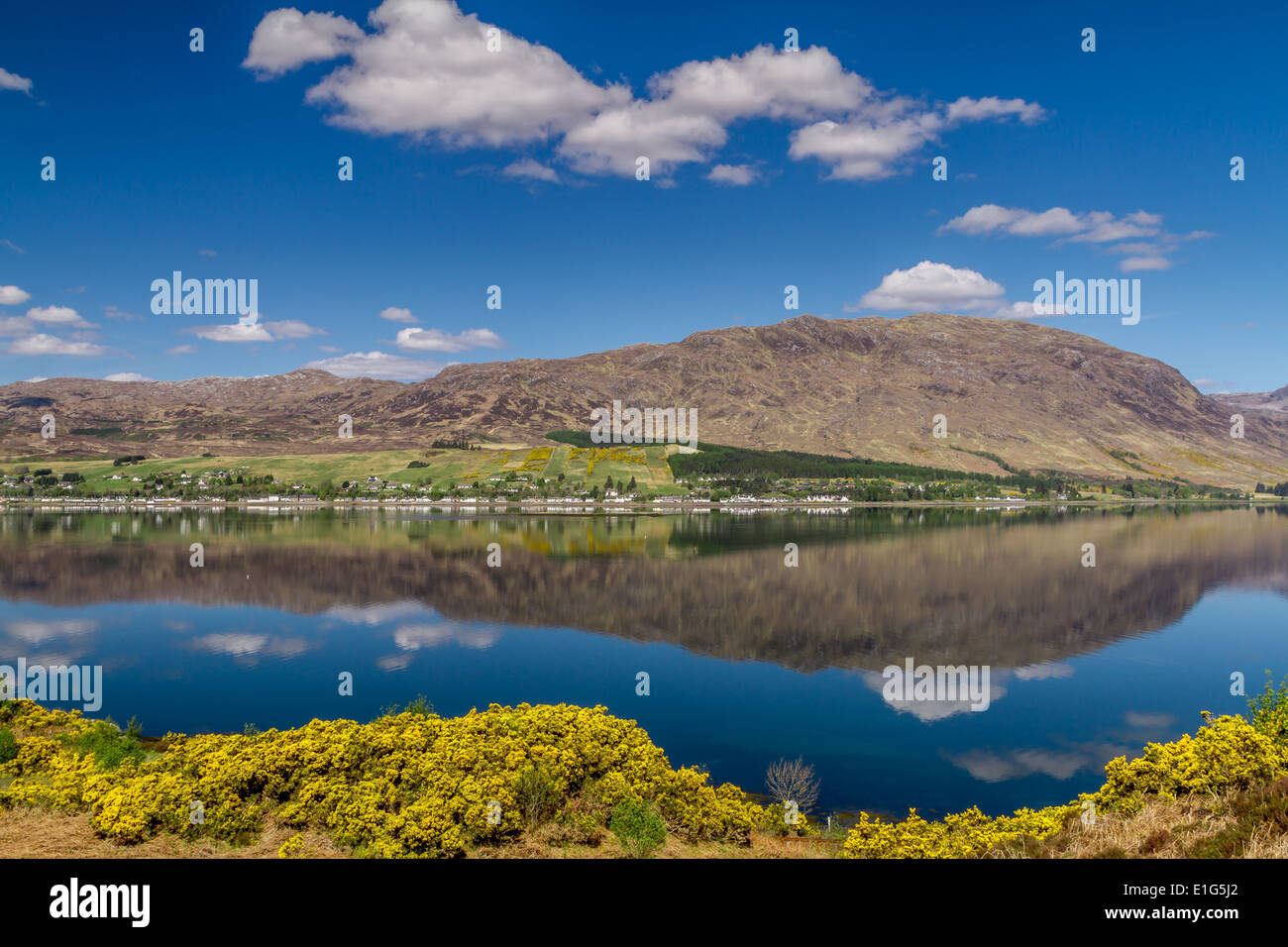 Lochcarron in Schottland und die Reflexionen des Berges in das Loch. Gelber Ginster spiegeln die Form des Berges Stockfoto