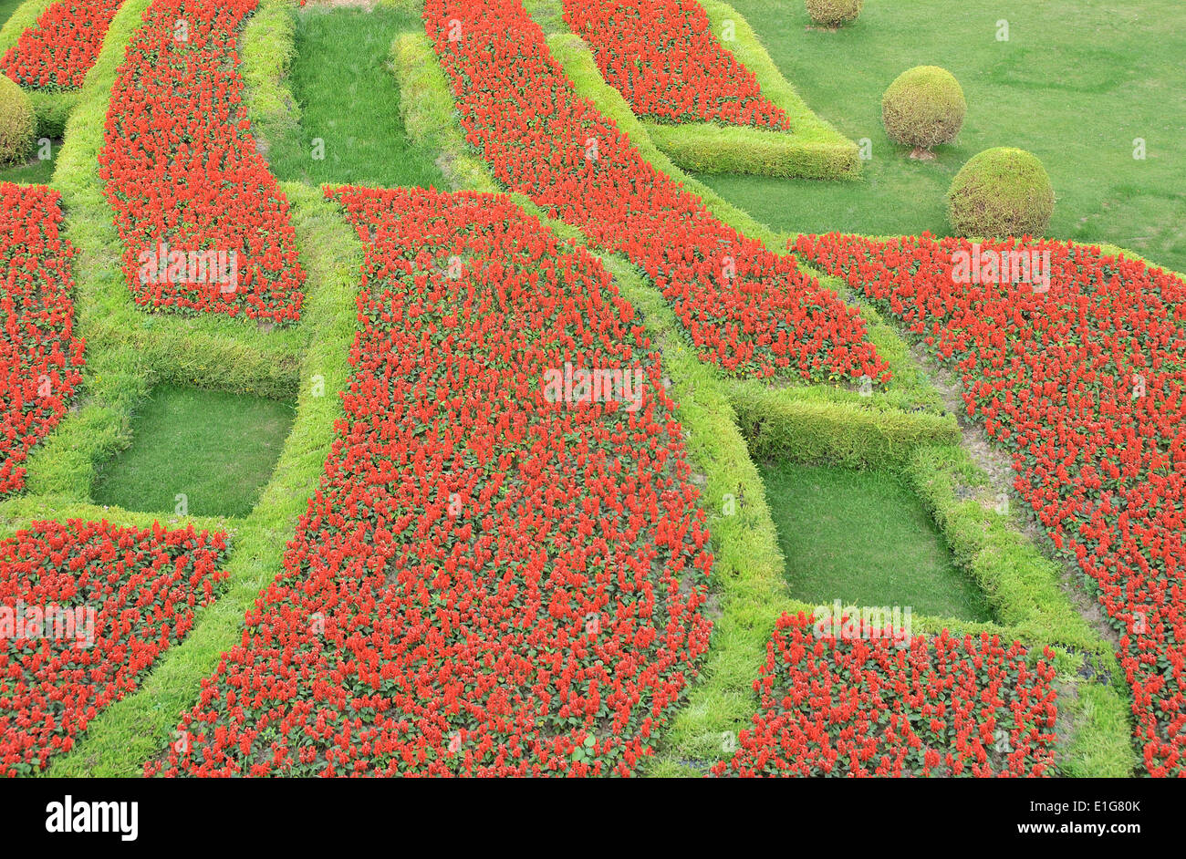 Blumenbeet Pudong Shanghai China Stockfoto