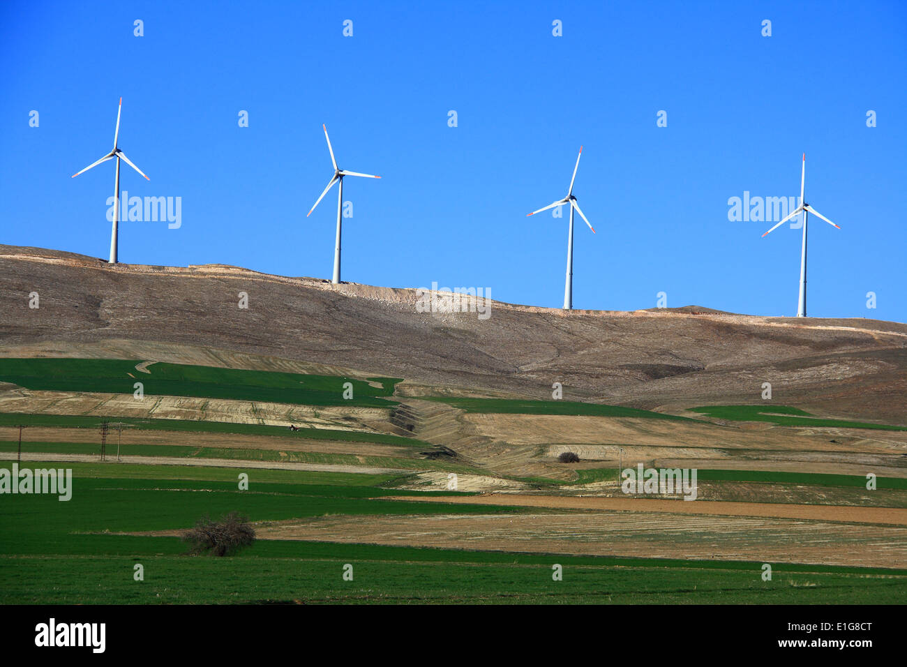 Windmühle, die alternative Energiegewinnung Stockfoto