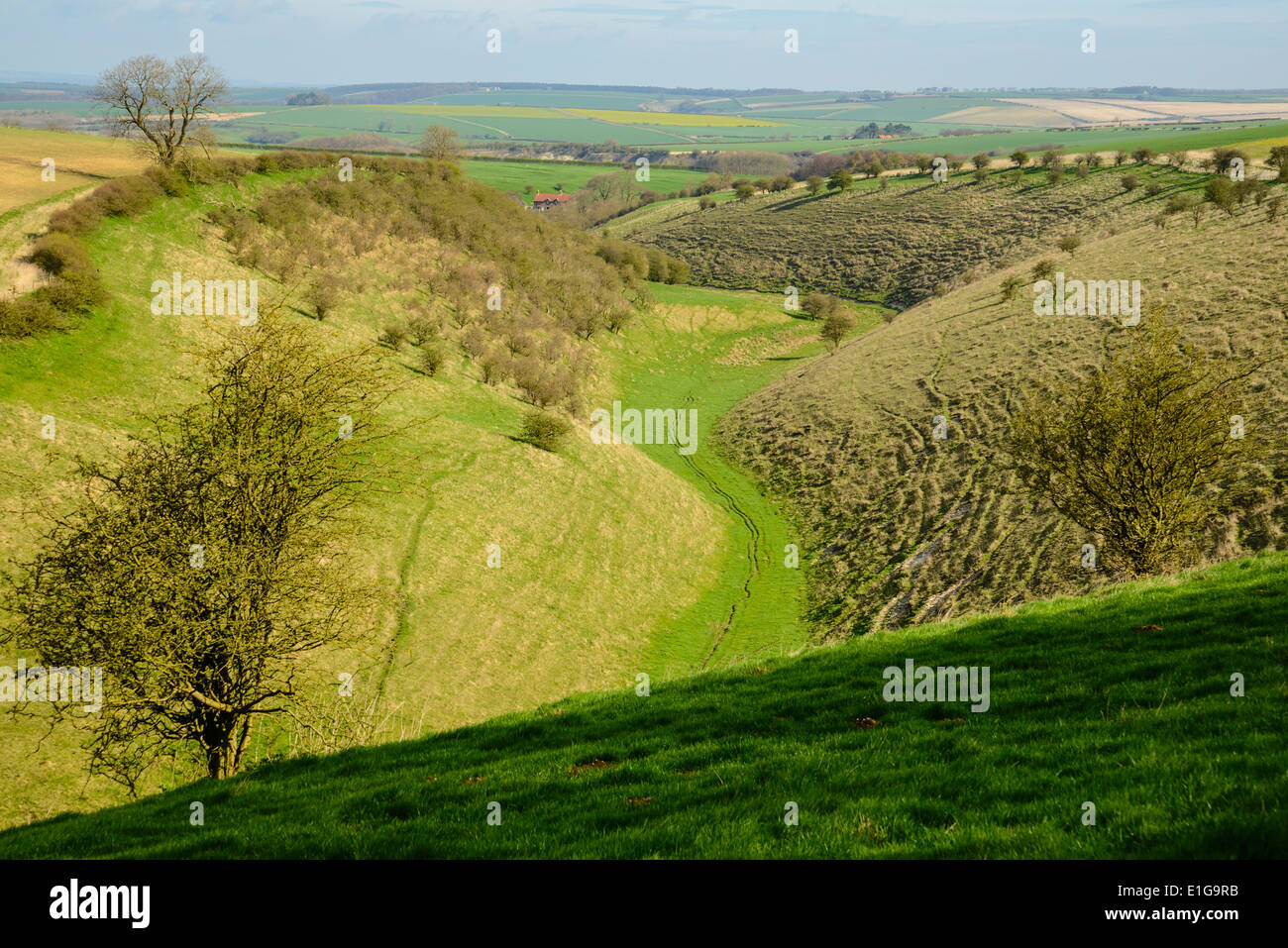 Mit Blick auf Tiefe Dale in der Yorkshire Wolds in der Nähe von Wharram Percy; ein Blick von der Yorkshire Wolds Weise National Trail Stockfoto