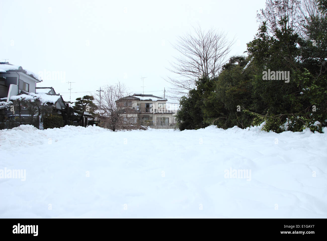 Japan - Feb14: Die schwersten Schnee in Jahrzehnten in Tokio und anderen Bereichen von Japan, am 14. Februar 2014 in Japan Stockfoto