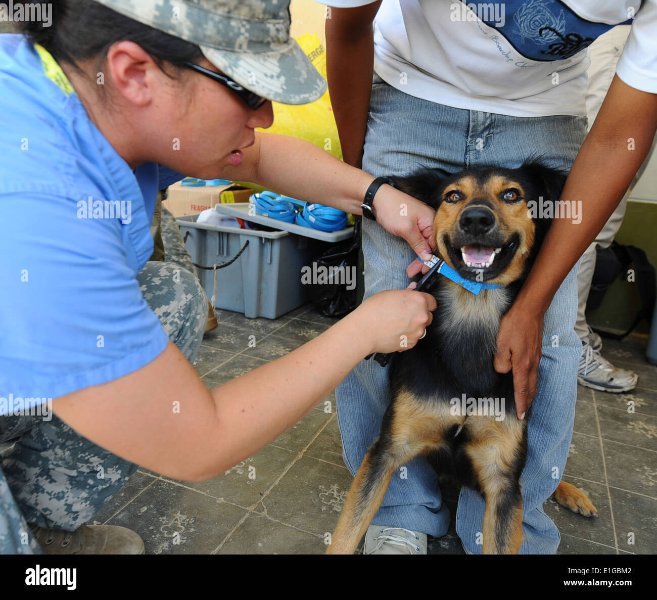 110509-F-CF975-111 - PAITA Peru - (9. Mai 2011) US Army Captain Rachel Lee, ein Tierarzt aus New York sichert ein Hund Colla Stockfoto