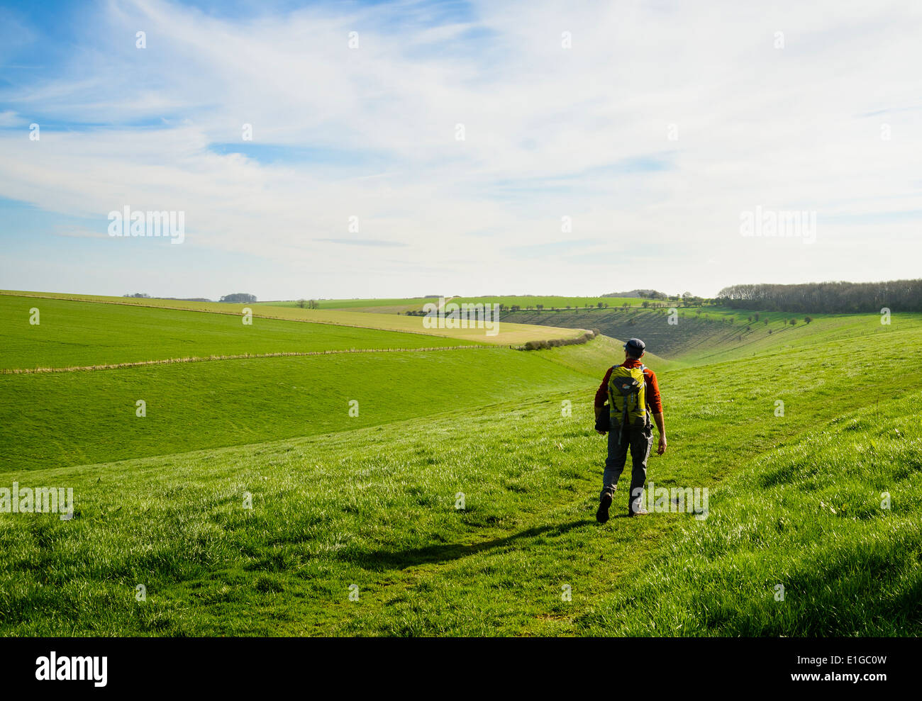 Walker auf die Yorkshire Wolds Weise National Trail über tiefe Dale in der Nähe von Wharram Percy Stockfoto