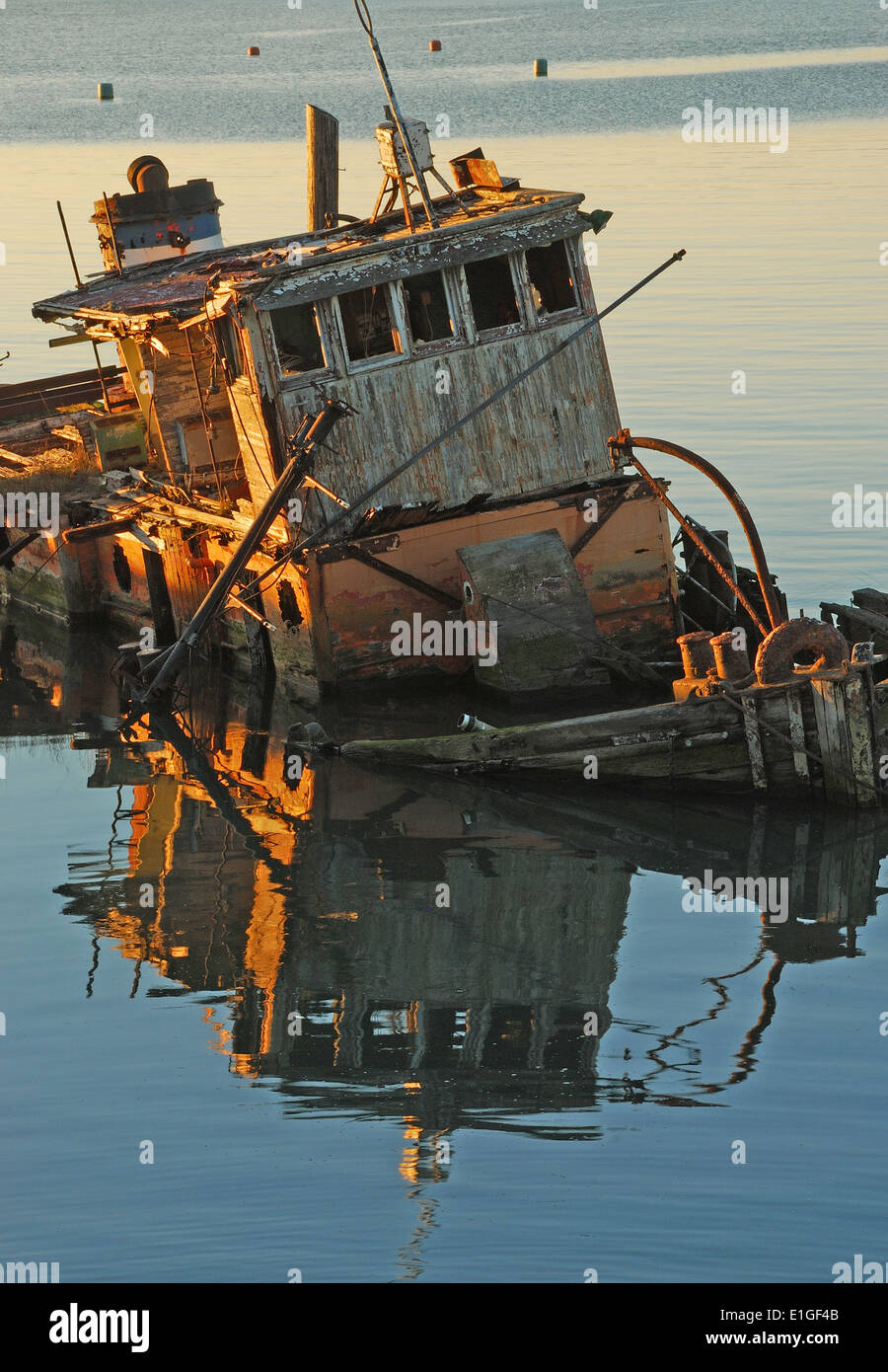 Mary D. Hume liegen im ruhigen Wasser der Bucht in der Nähe von Gold Beach OR Rogue River. Boot, erbaut im Jahre 1881 Stockfoto