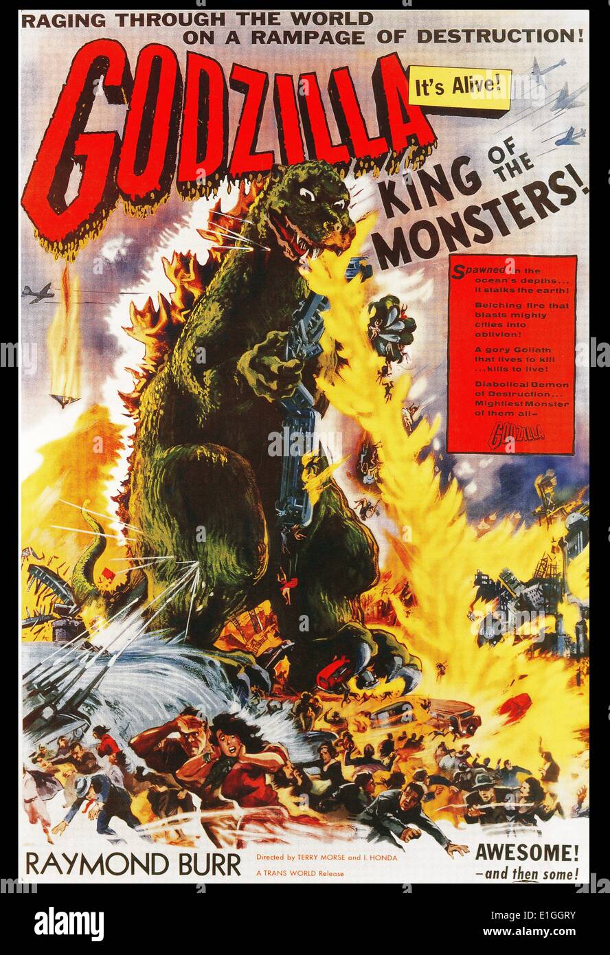 Godzilla starring Raymond Burr, die 1956 japanisch-amerikanischen Schwarzen und Weißen Science-Fiction-Film aus dem japanischen Film 1954 Godzilla angepasst. Stockfoto