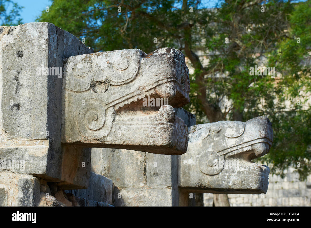Mexiko, Yucatan-Zustand, archäologische Stätte Chichen Itza, Weltkulturerbe der UNESCO, der Schlangenkopf, Maya-Ruinen Stockfoto