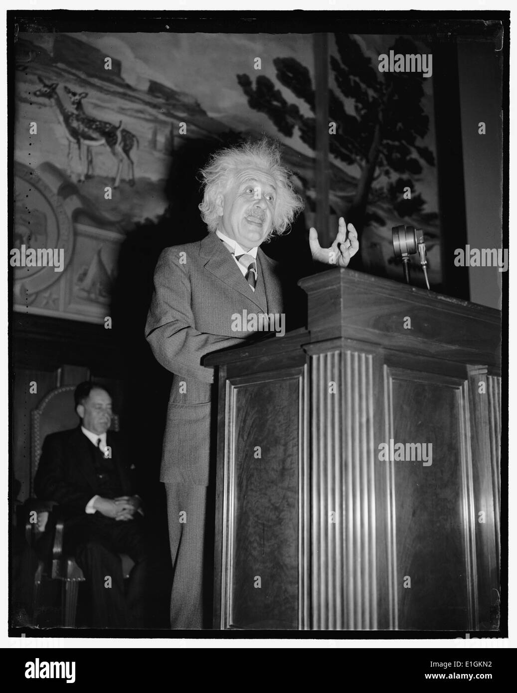 Albert Einstein (14. März 1879 - 18. April 1955) Deutsch - theoretische Physiker geboren. Entwickelte er die Allgemeine Relativitätstheorie, 1940 Stockfoto