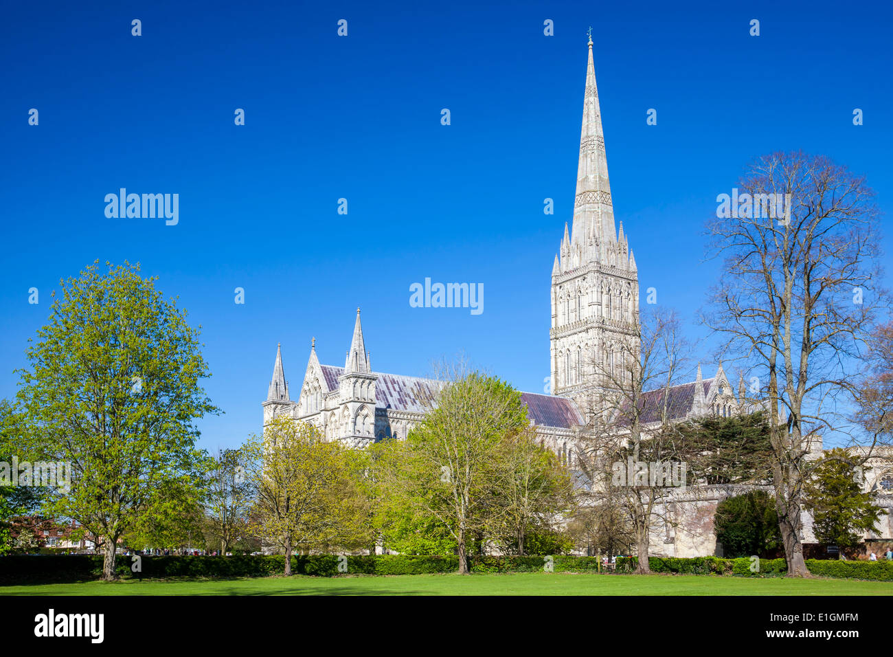 Englische frühgotischen Stil Kathedrale von Salisbury mit dem Talest-Turm auf dem Land. Wiltshire England UK Europa Stockfoto