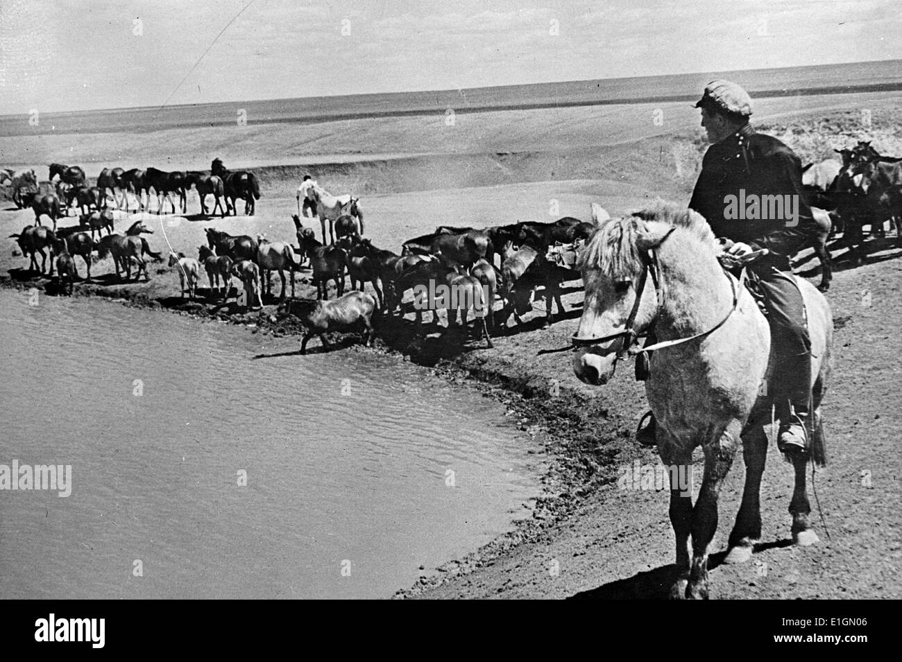 Fotografieren der UdSSR Soldaten Bewässerung Pferde an einem Teich in der Steppe auf einer Kolchose. Dater 1915 Stockfoto