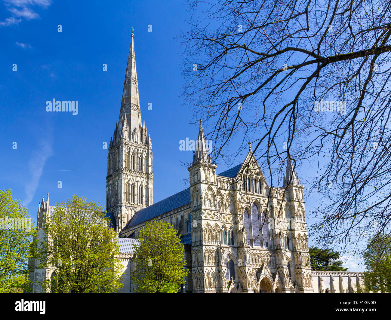 Englische frühgotischen Stil Kathedrale von Salisbury mit dem Talest-Turm auf dem Land. Wiltshire England UK Europa Stockfoto