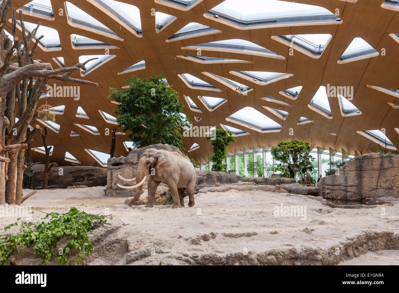 Switzerland Zurich Zoo Elephant House Stockfotos und -bilder Kaufen - Alamy