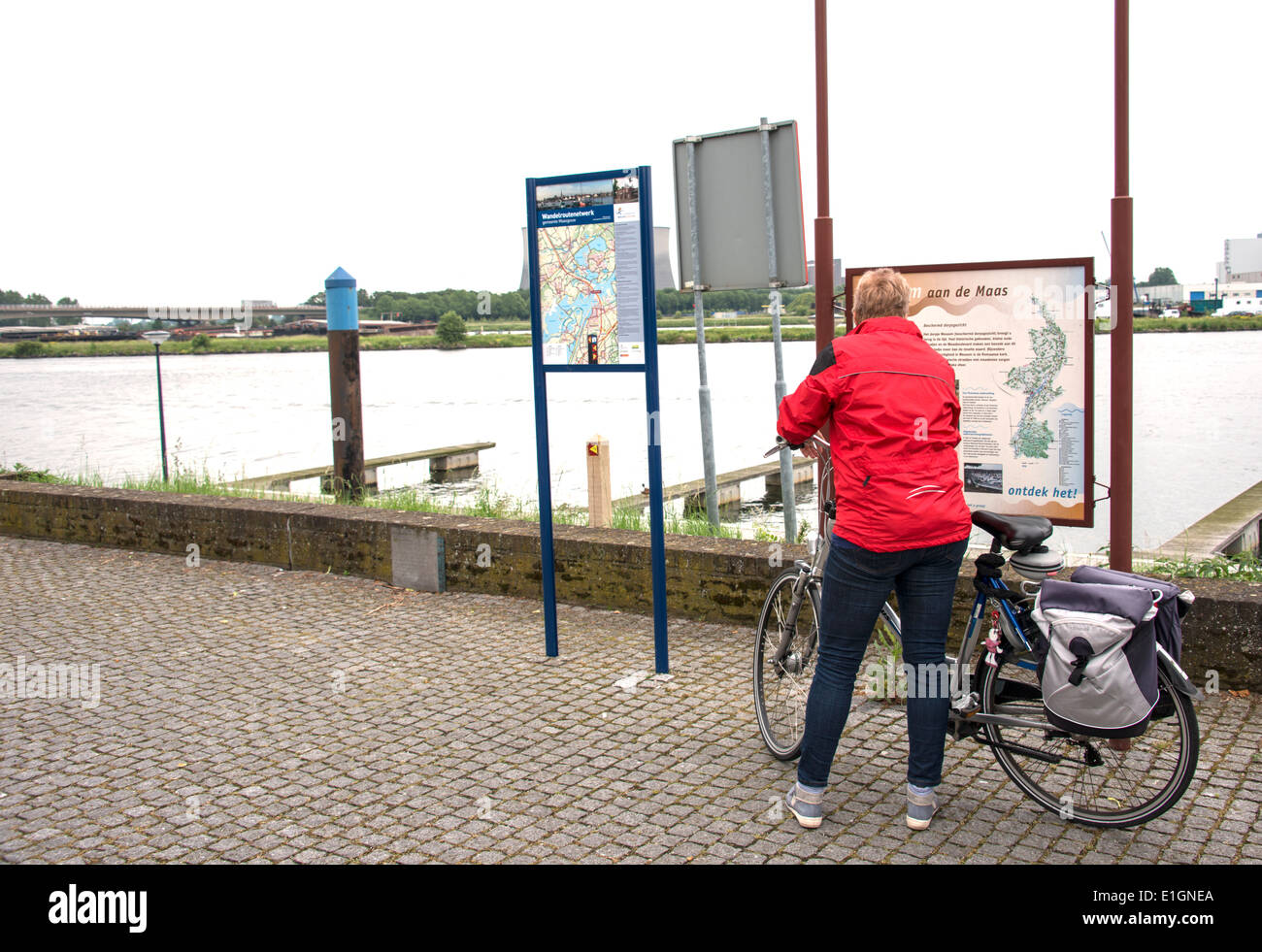 Frau betrachten Informationstafel in der Nähe der Maas in Holland Stockfoto