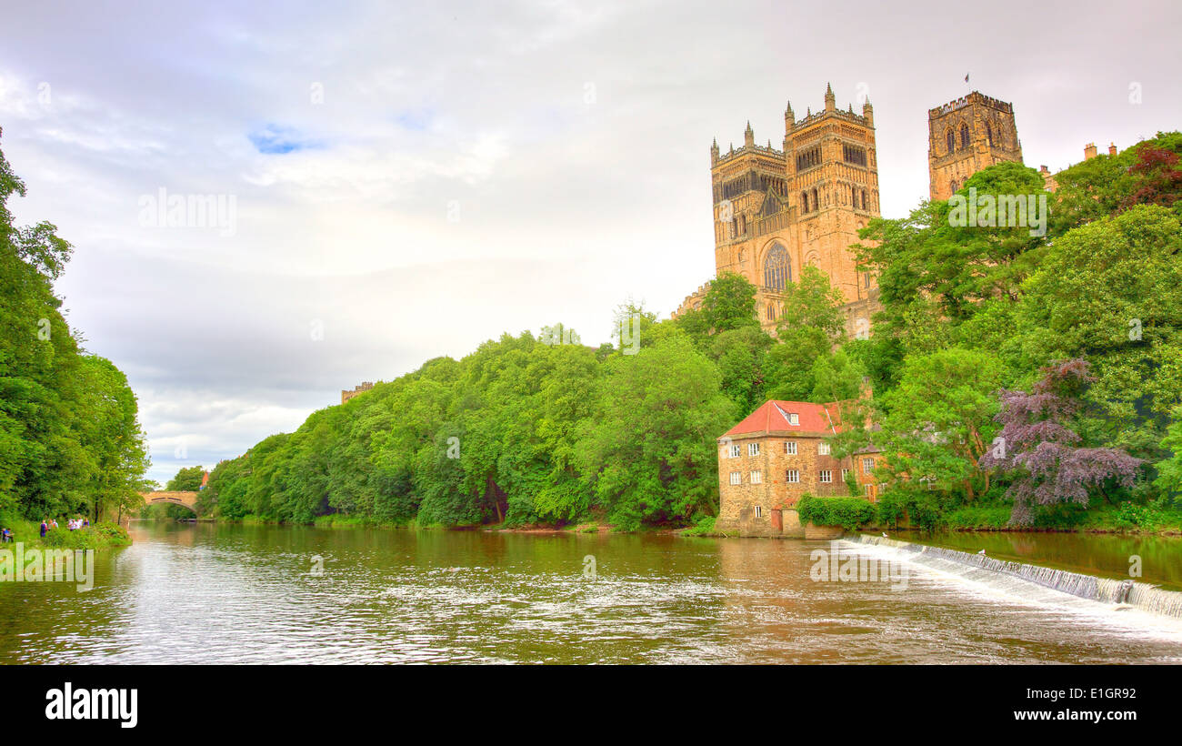 Durham Kathedrale und die alte Fulling Mühle mit Blick auf den Fluss zu tragen, County Durham, England. Stockfoto
