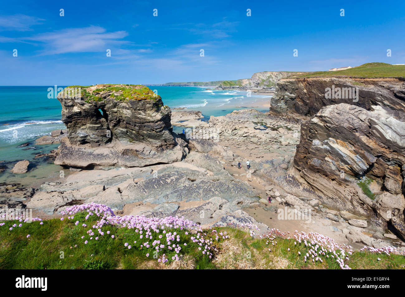 Dramatischen Klippen und Meer-Stacks am Trevelgue Head Porth in der Nähe von Newquay Cornwall England UK Europe Stockfoto