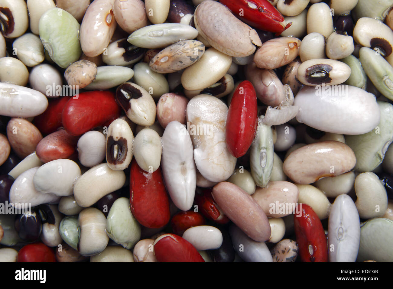 Gemischte Bohnen. Stockfoto