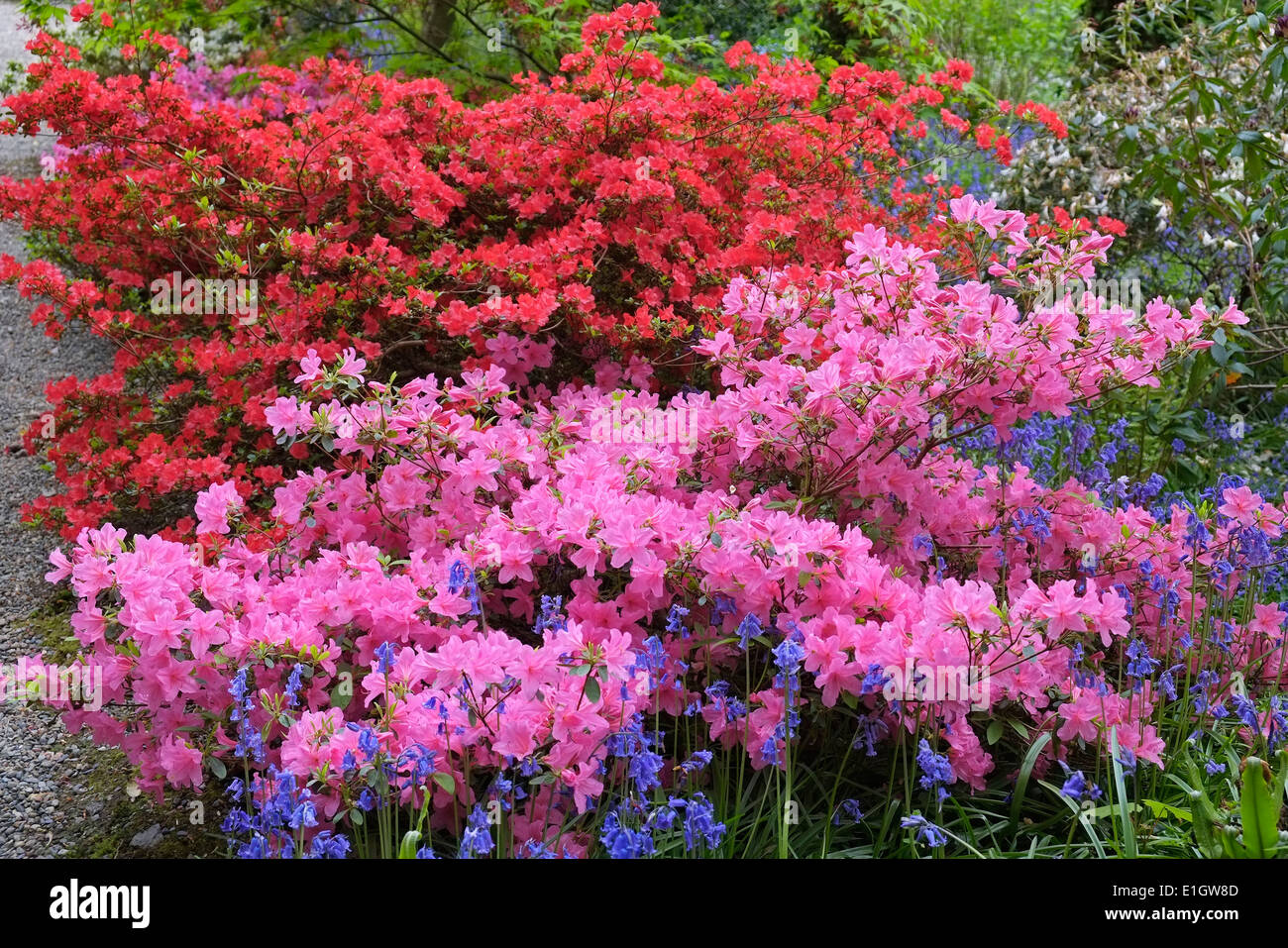 Verlorener Garten Stockfotos Verlorener Garten Bilder Alamy