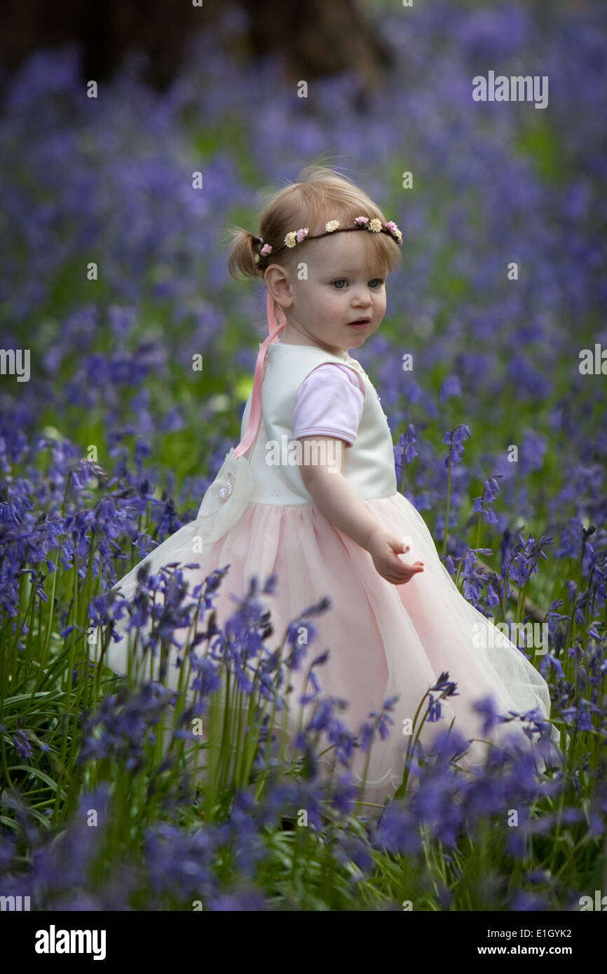 Junge Mädchen tragen Brautjungfer Kleid und stehen in einem Wald voller Bluebells in England. Stockfoto