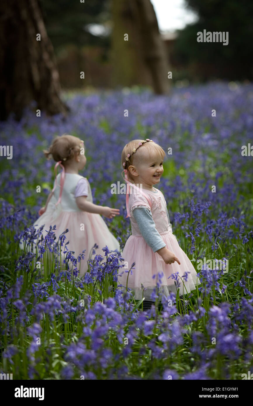 Zwei junge Kinder in einem Wald voller Bluebells in England im Frühling Stockfoto