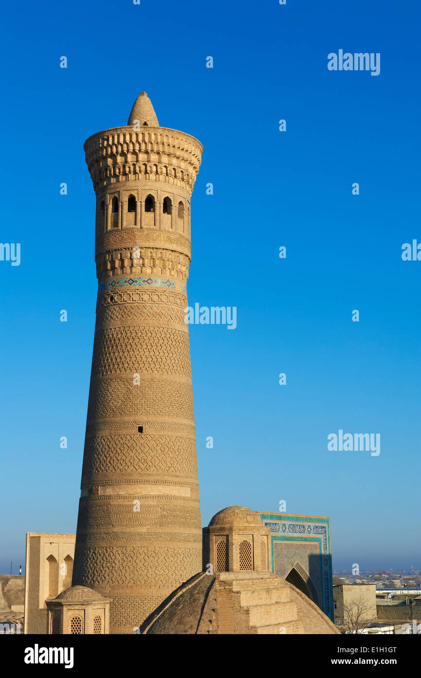 Usbekistan, Buchara, UNESCO-Welterbe, Kalon Moschee Stockfoto