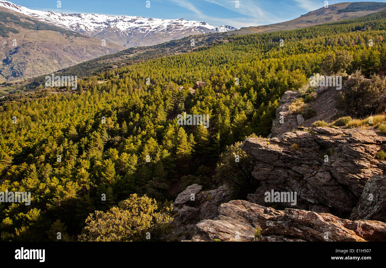 Landschaft der Sierra-Nevada-Berge in der hohen Alpujarras, in der Nähe von Capileira, Provinz Granada, Spanien Stockfoto