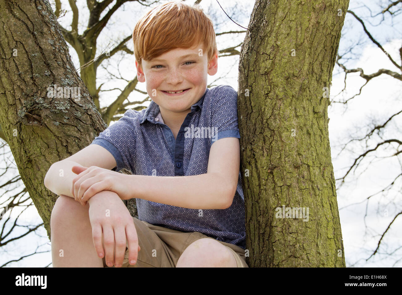 Porträt der Junge sitzt im Baum Stockfoto