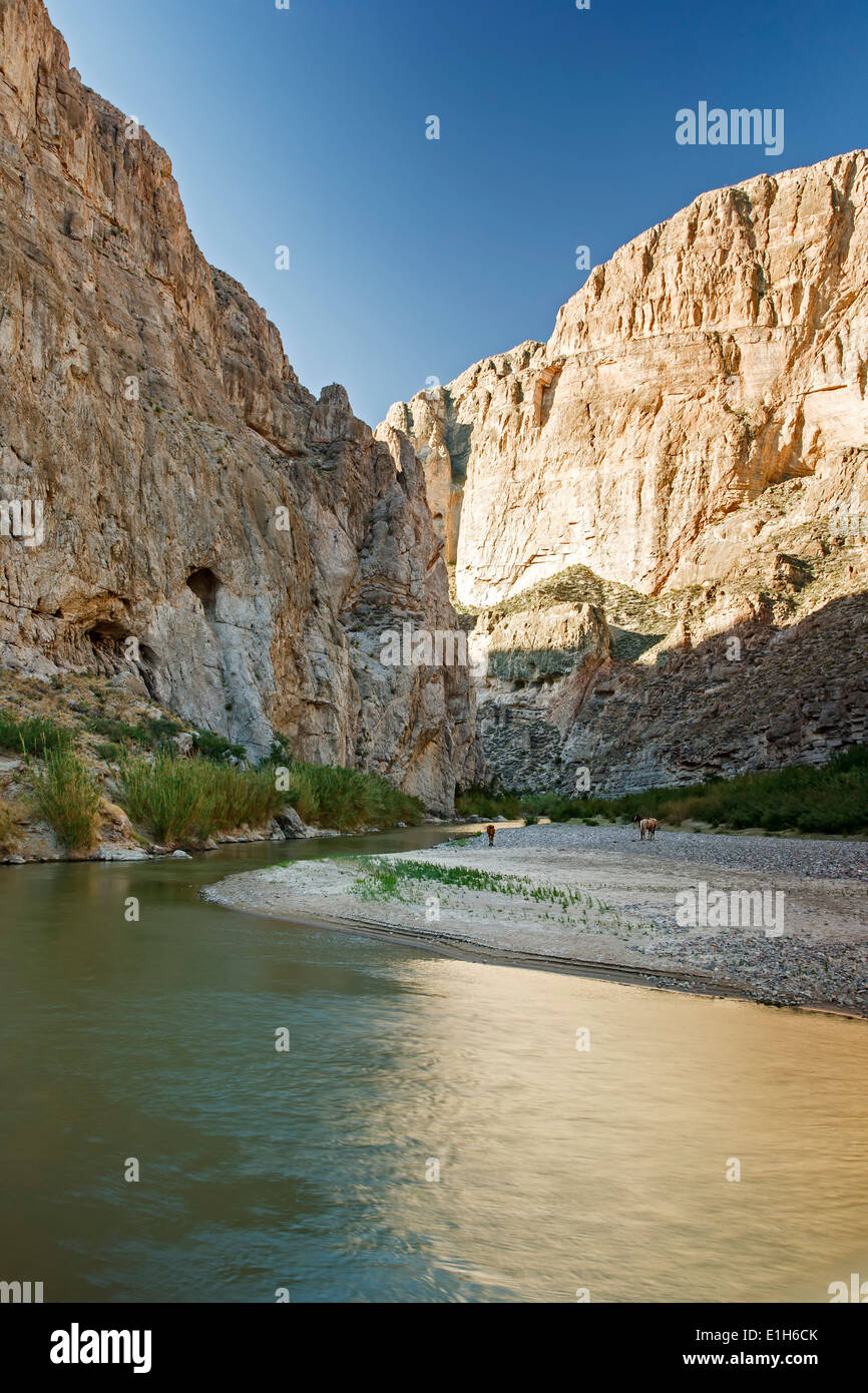 Boquillas Canyon Und Rio Grande Big Bend Nationalpark Texas Usa Stockfotografie Alamy