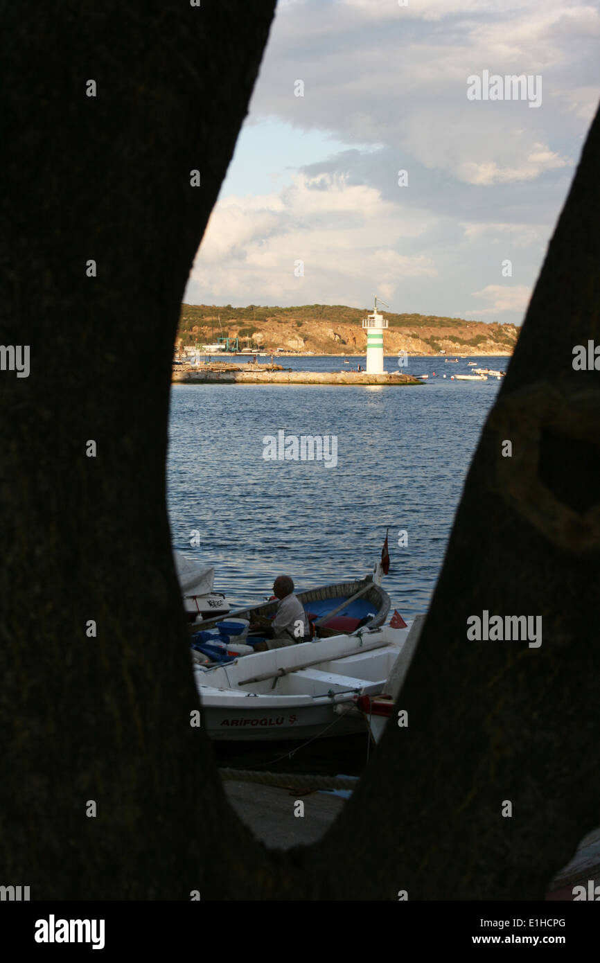 Isherman und Leuchtturm durch Baum hohl in Eskihisar, Kocaeli, Türkei Stockfoto