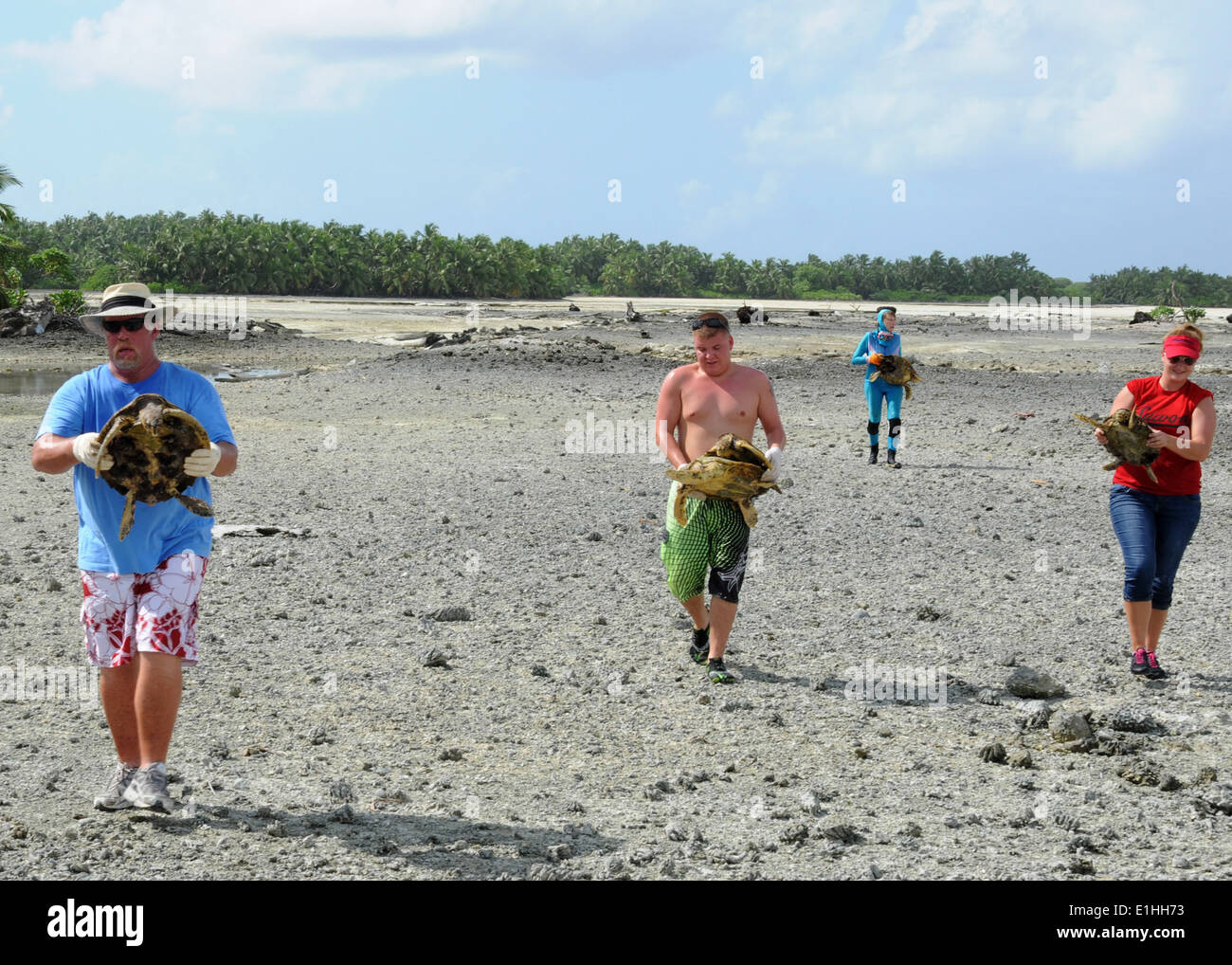 121017-N-XY761-055... DIEGO GARCIA, British Indian Ocean Territory (17. Oktober 2012)??? Volenteers helfen Schildkröten für die Kennzeichnung zu tragen Stockfoto