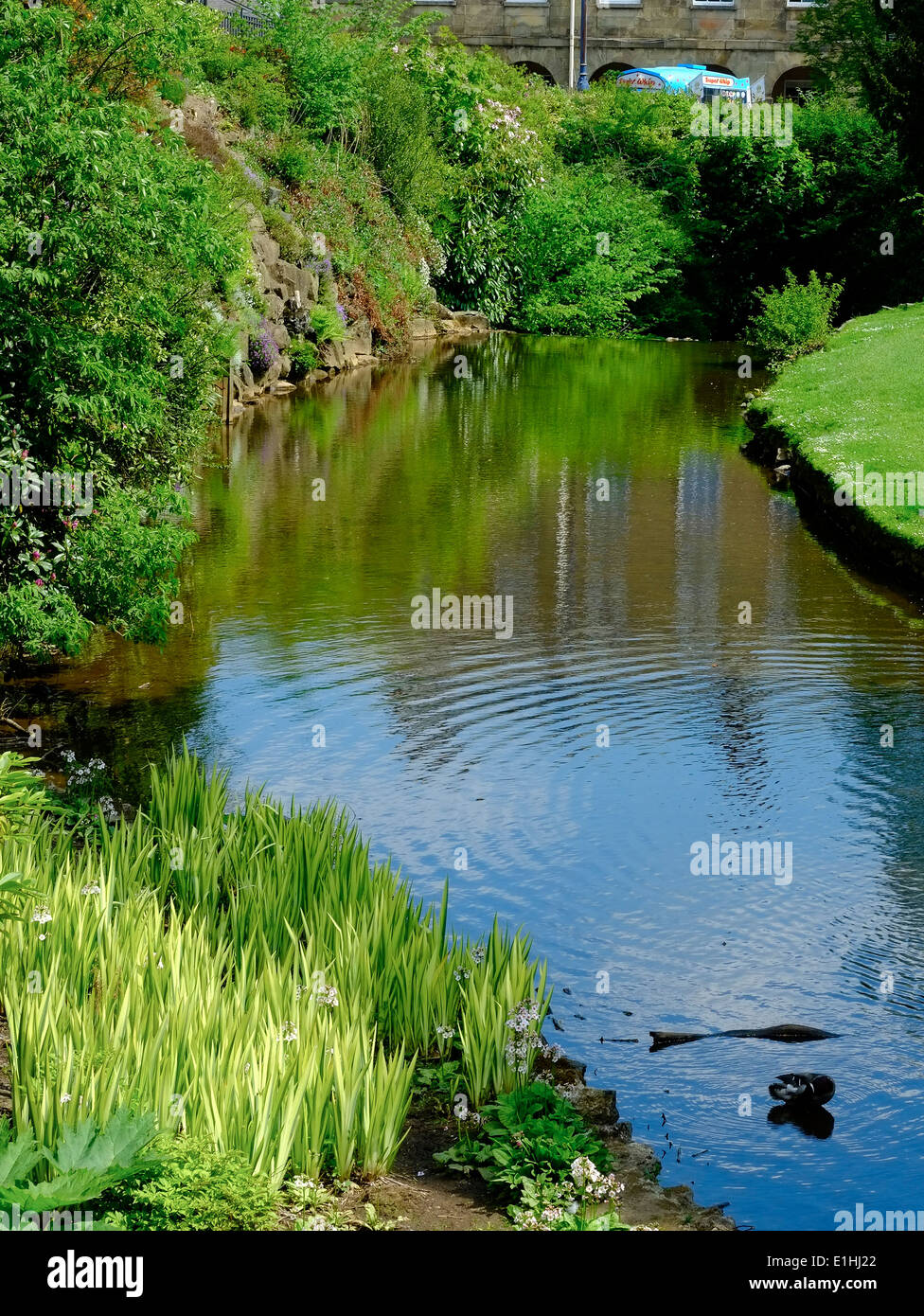 Buxton Pavilion Gärten Derbyshire England UK Stockfoto