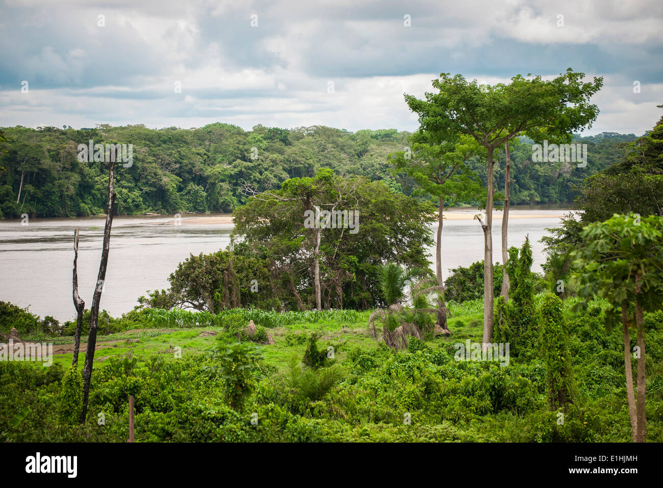 Sangha River Stockfotos Und bilder Kaufen Alamy sangha-river-stockfotos-und-bilder-kaufen-alamy